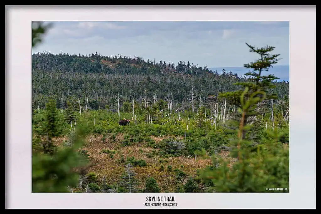 Der Skyline Trail – Dramatische Wanderung, wo der Himmel auf das Meer trifft